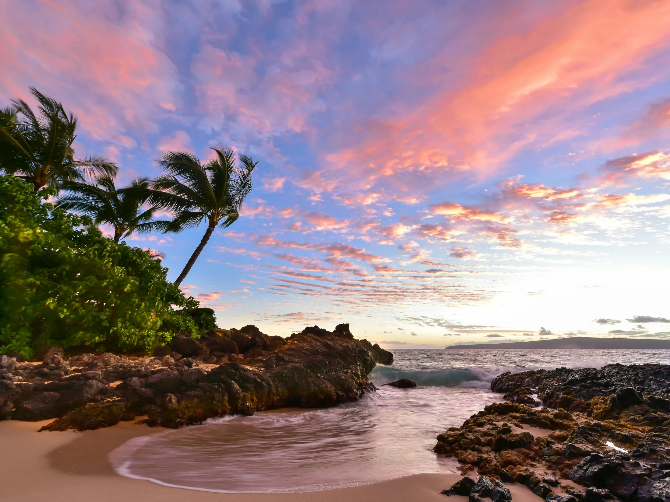 Maui homepage hero image 01